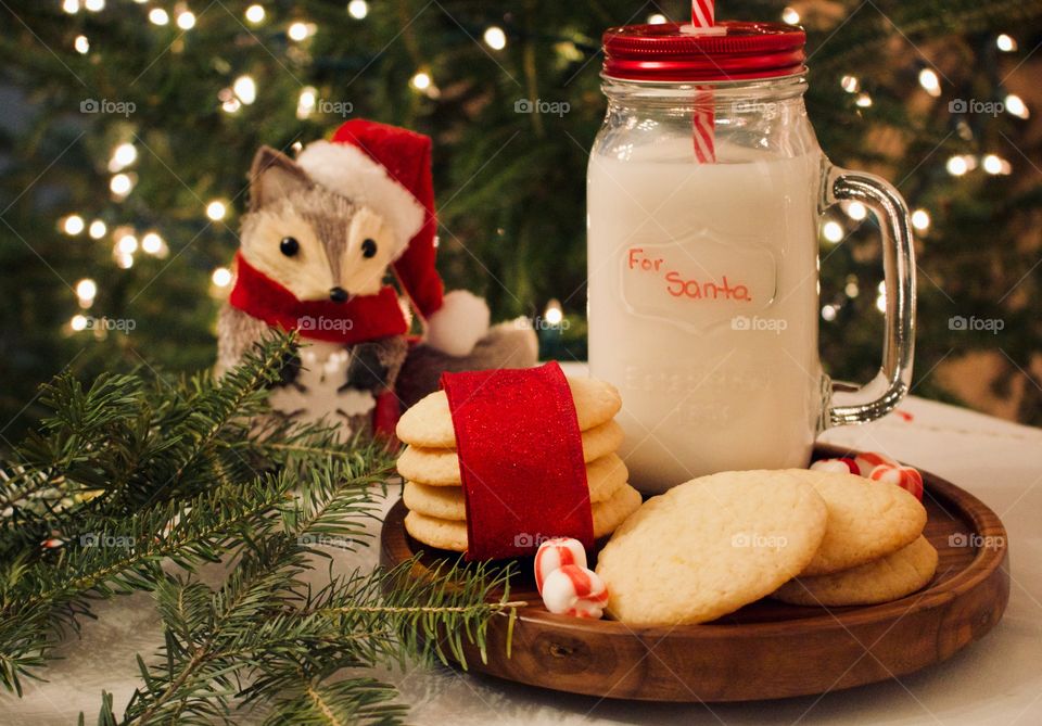 Christmas cookies and milk for Santa 