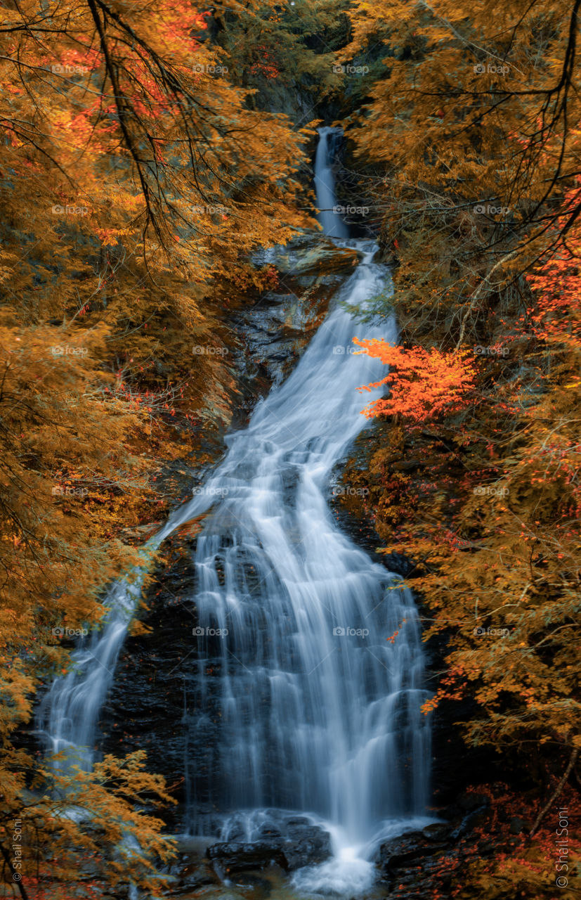 beautiful waterfall during fall season