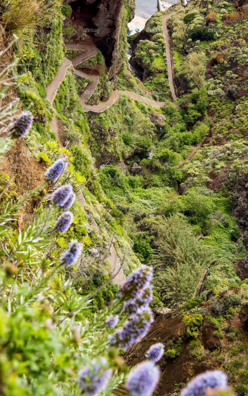 Vereda Jardim Atlantico Madeira