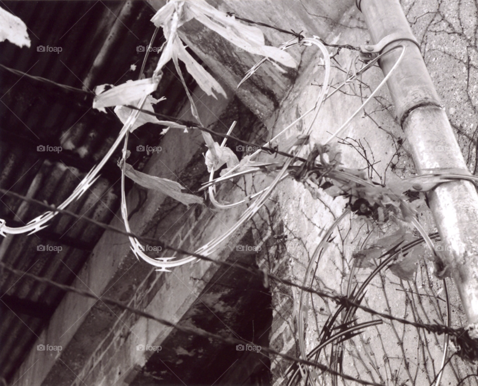 city gray fence urban by squishypie