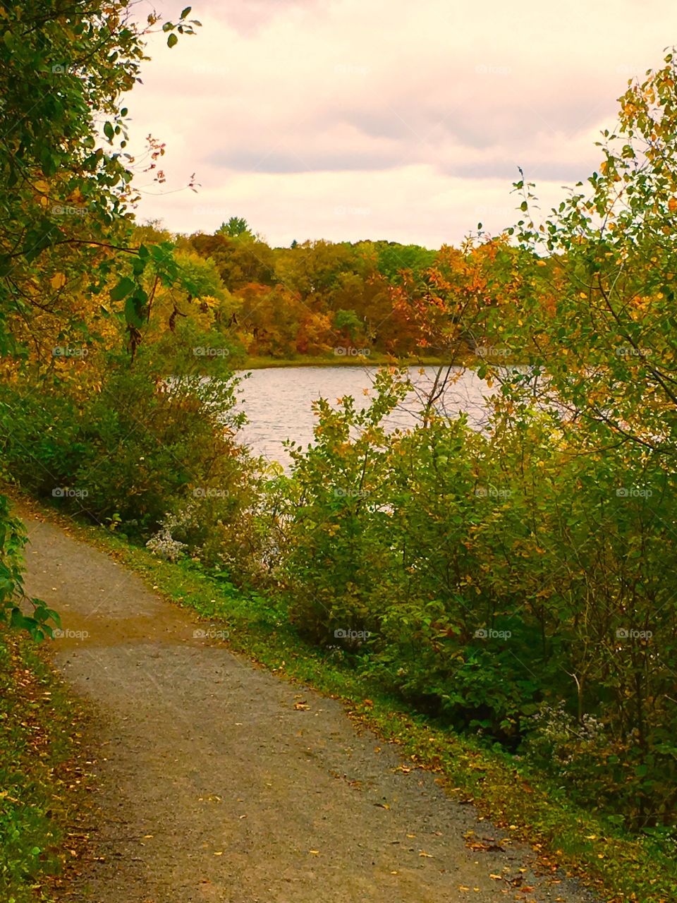 Autumn on the trail