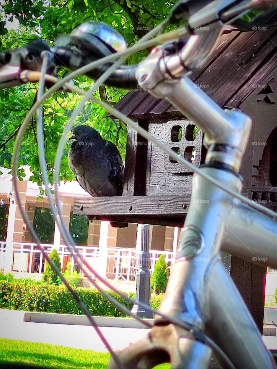 Bicycles.  In the foreground is a part of the handlebar of a bicycle through which a birdhouse and a dove are visible.