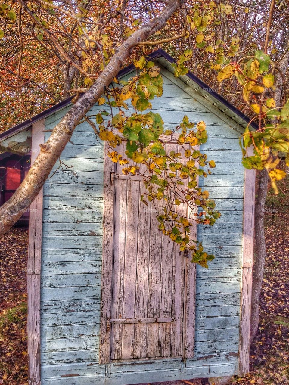 Autumn beach hut