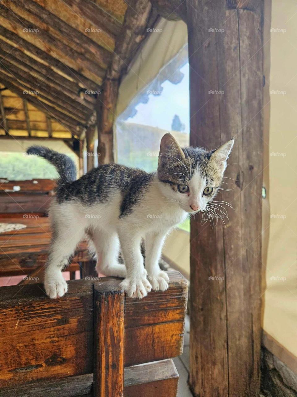 get out of the way so I can jump