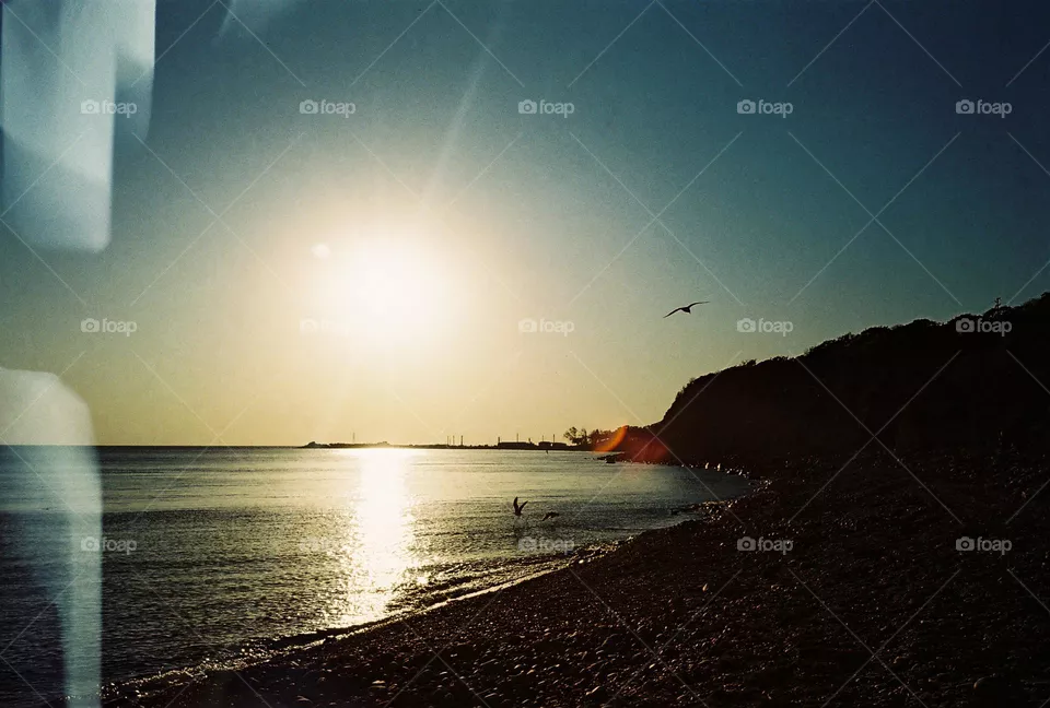 Seaside sunset wild beach seagulls film photo