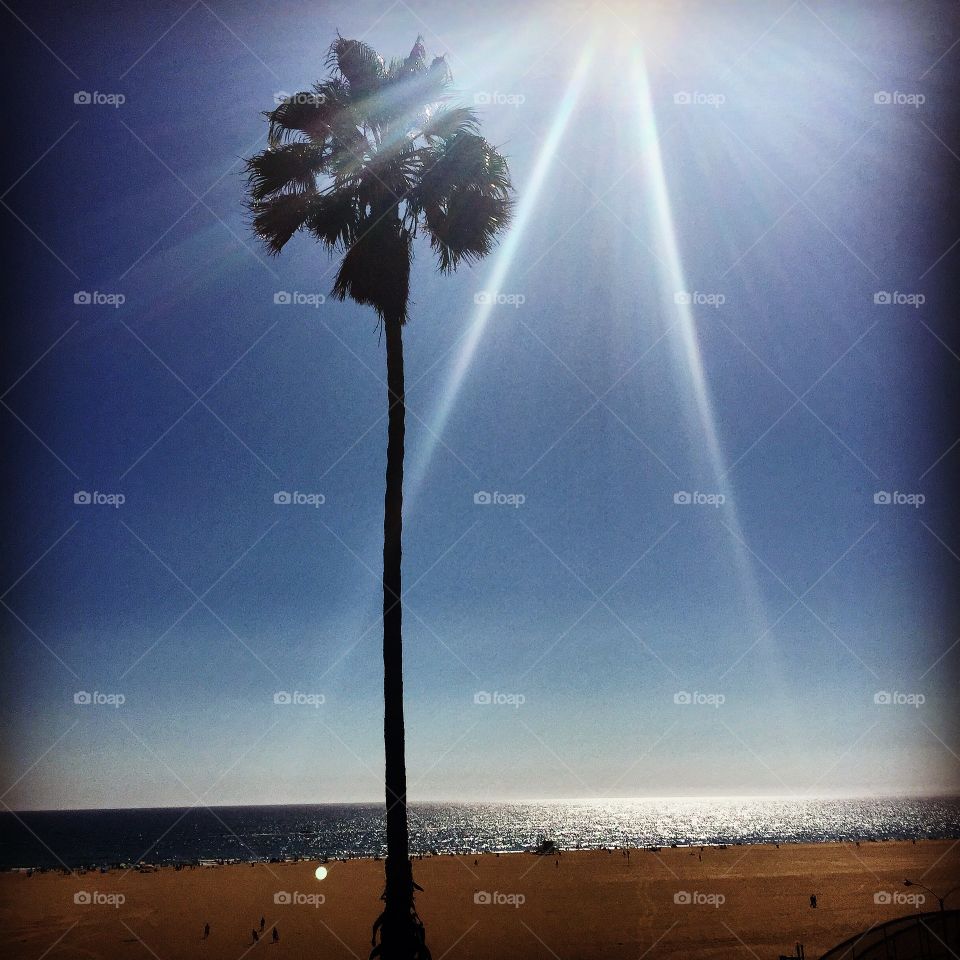 Sunshine in California