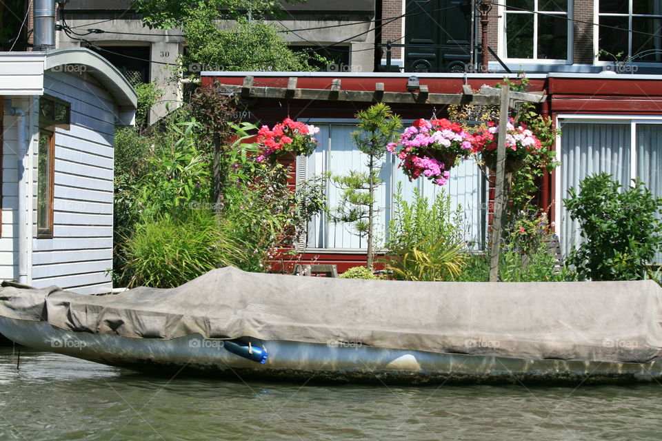 View with flowers