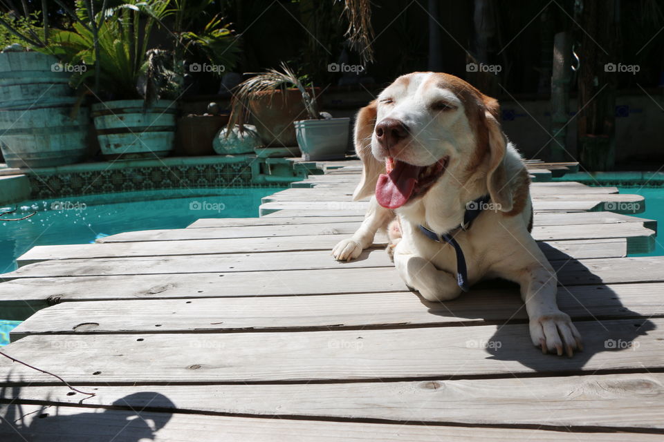 Relaxing summer day on the bridge over the pool