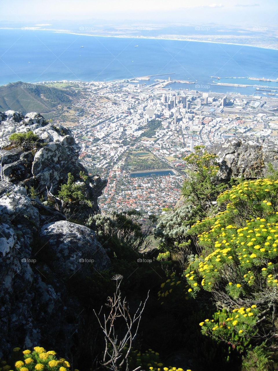 Table mountain