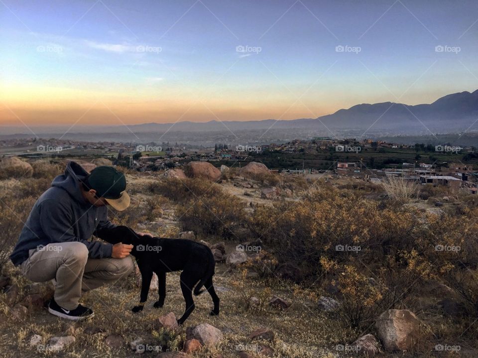 Stray dog full of love