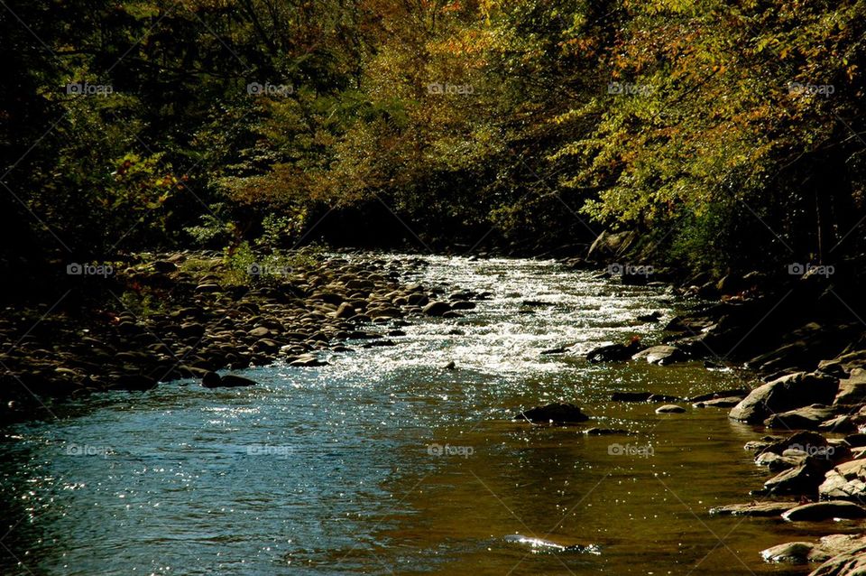 Tennessee River