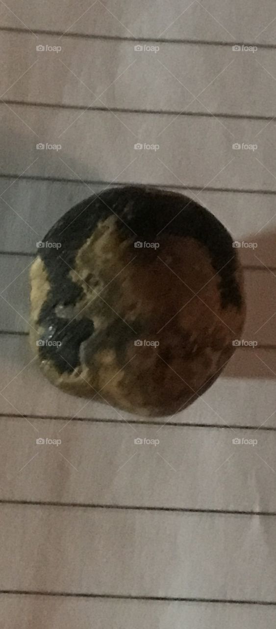 Can anyone guess what organ this came from?