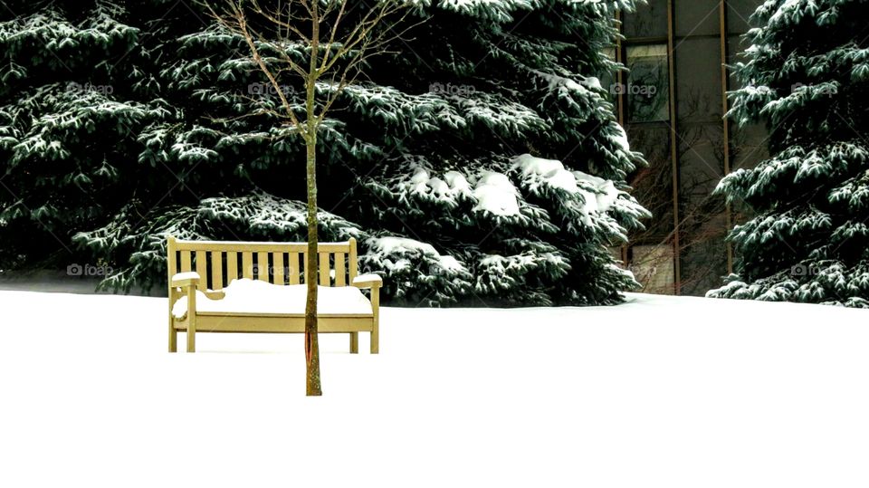 Lonely snow covered bench