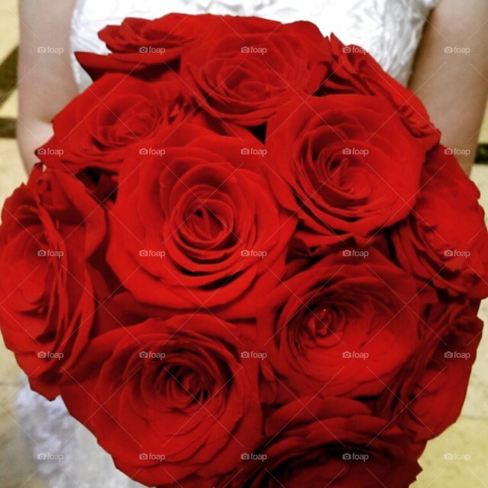 Wedding Roses