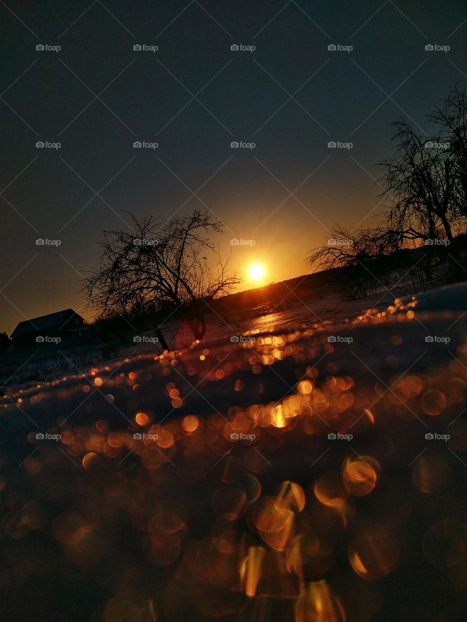 photo of snowy landskape at sunset. Snow reflects sunlight. Photo is in warm photos