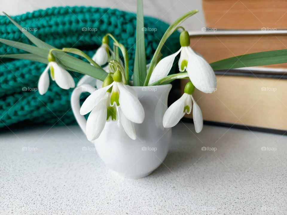 a bouquet of snowdrops, books and a green sweater