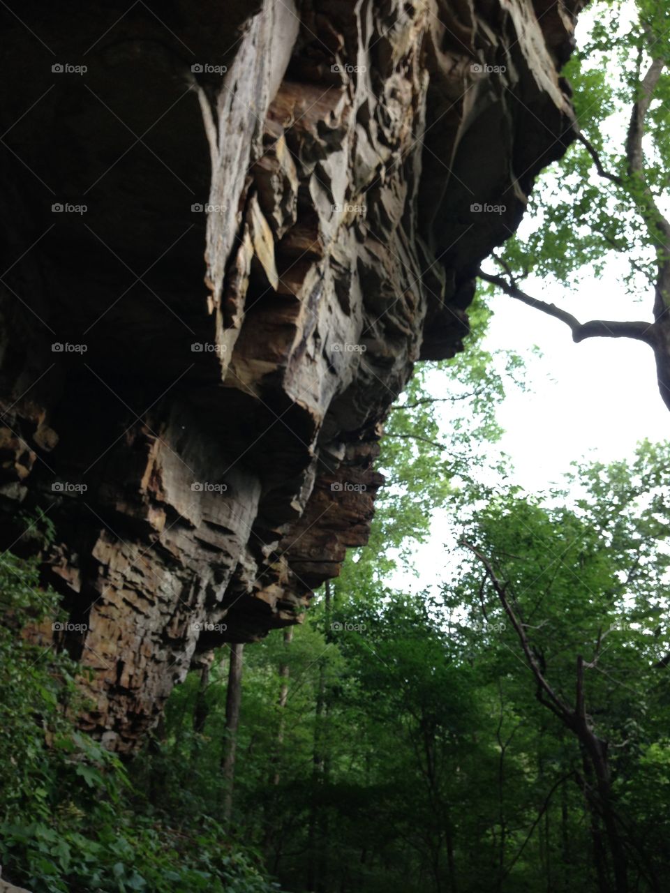 Majestically carved. 