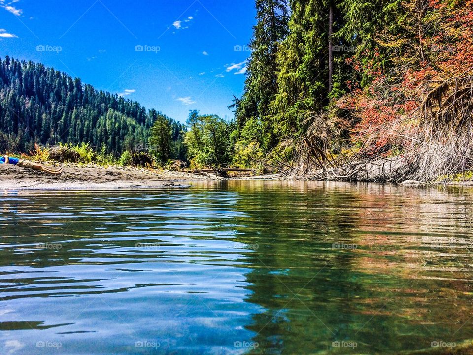 Hoh river