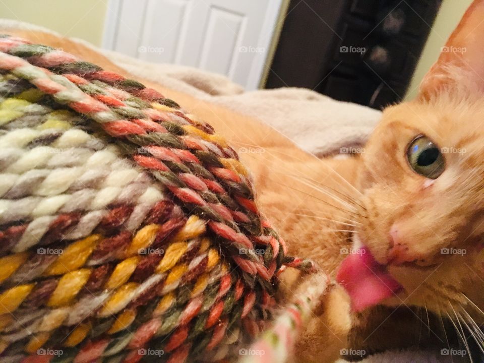 Ginger kitty playing with colorful yarn 🧶
