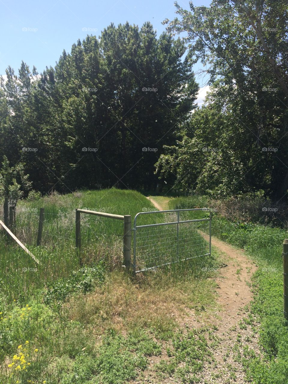 Beautiful scenic nature hike 