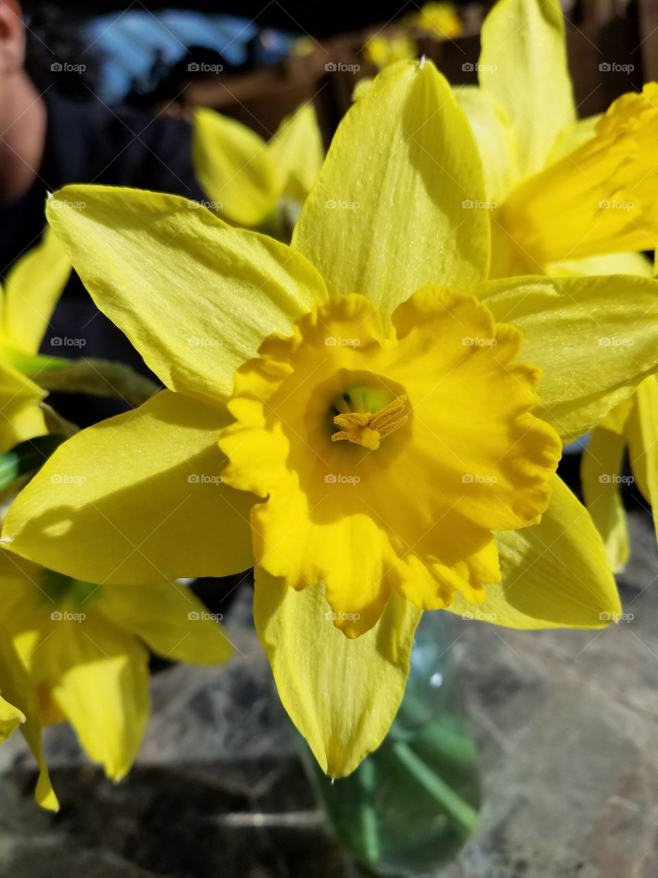 Sunshine From A Flower