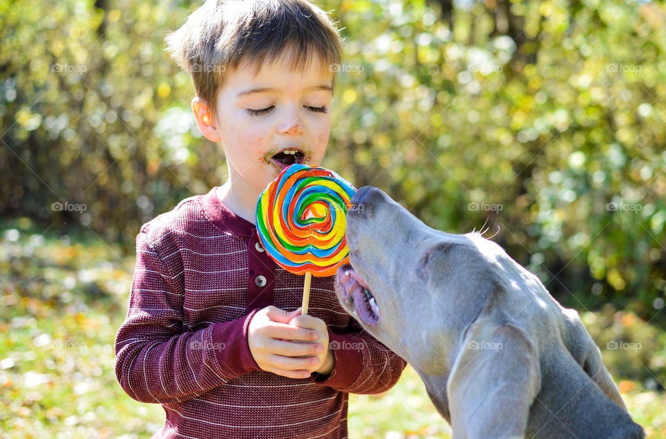Young boy and weimaraner puppy sharing a large, rainbow colored lollipop outdoors