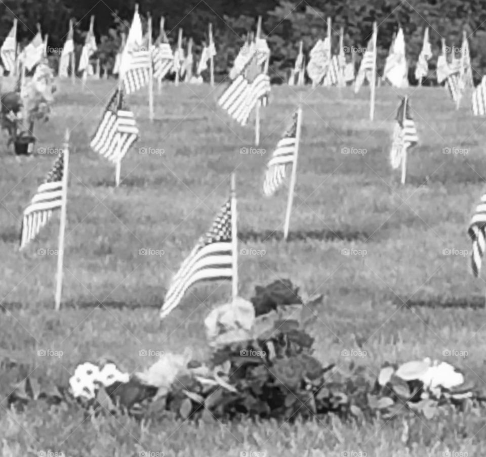 Black and white veterans cemetery 