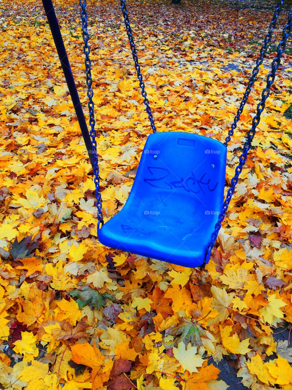 Fall, No Person, Leaf, Nature, Wood