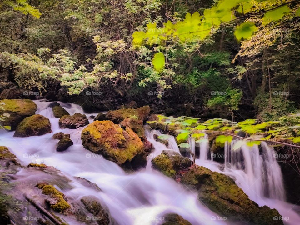 Drini i Bardhë, Kosovo