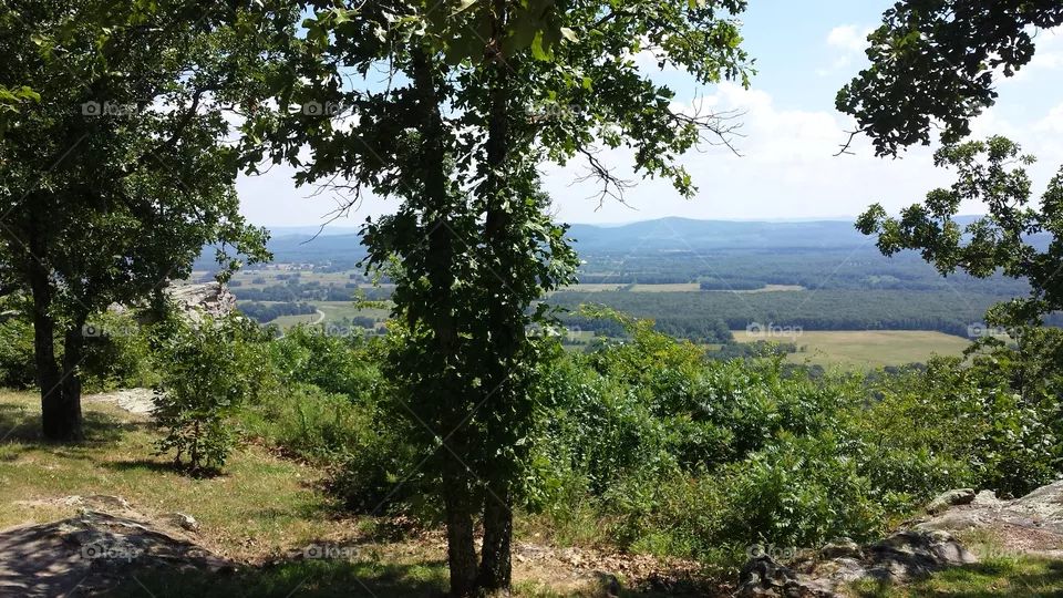 Landscape, Nature, No Person, Tree, Outdoors