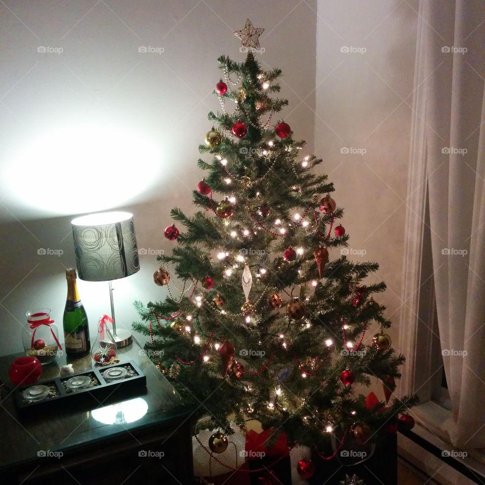 Christmas, Winter, Christmas Tree, Interior Design, Pine