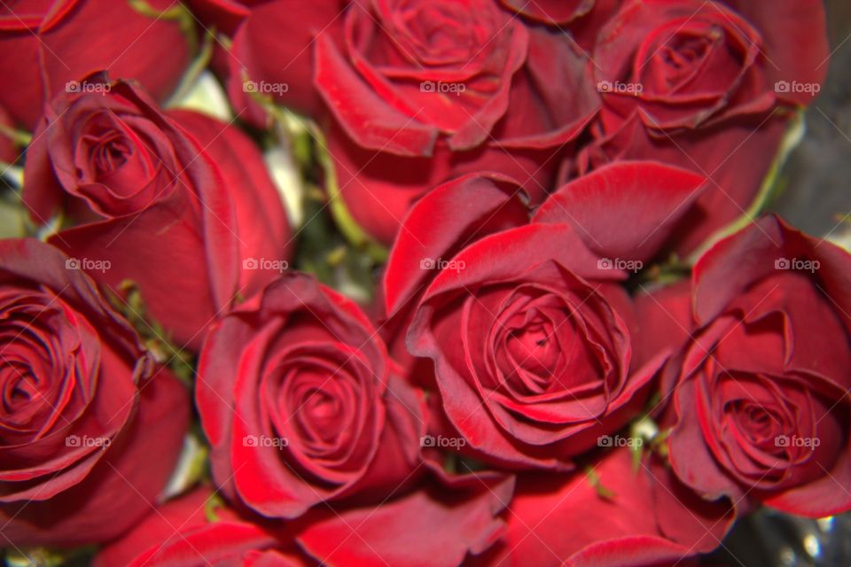 Bouquet of Beautiful Red Roses