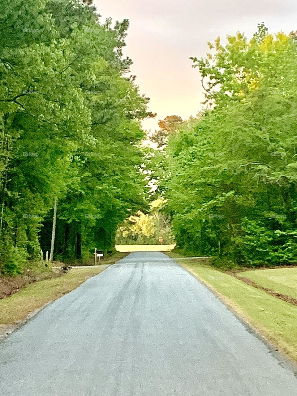 Country road 