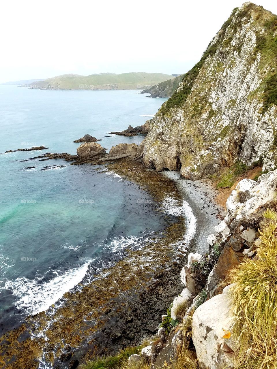 New Zealand coastline