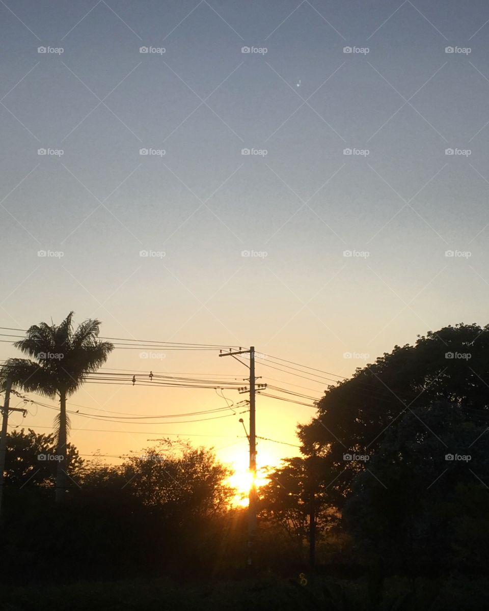 🌅Desperte, #Jundiaí. 
E em meio ao poste de #luz, a luz se fez do Astro-Rei!
Ótima 6a feira para todos. 
🍃
#sol #sun #sky #céu #photo #nature #morning #alvorada #natureza #horizonte #fotografia 