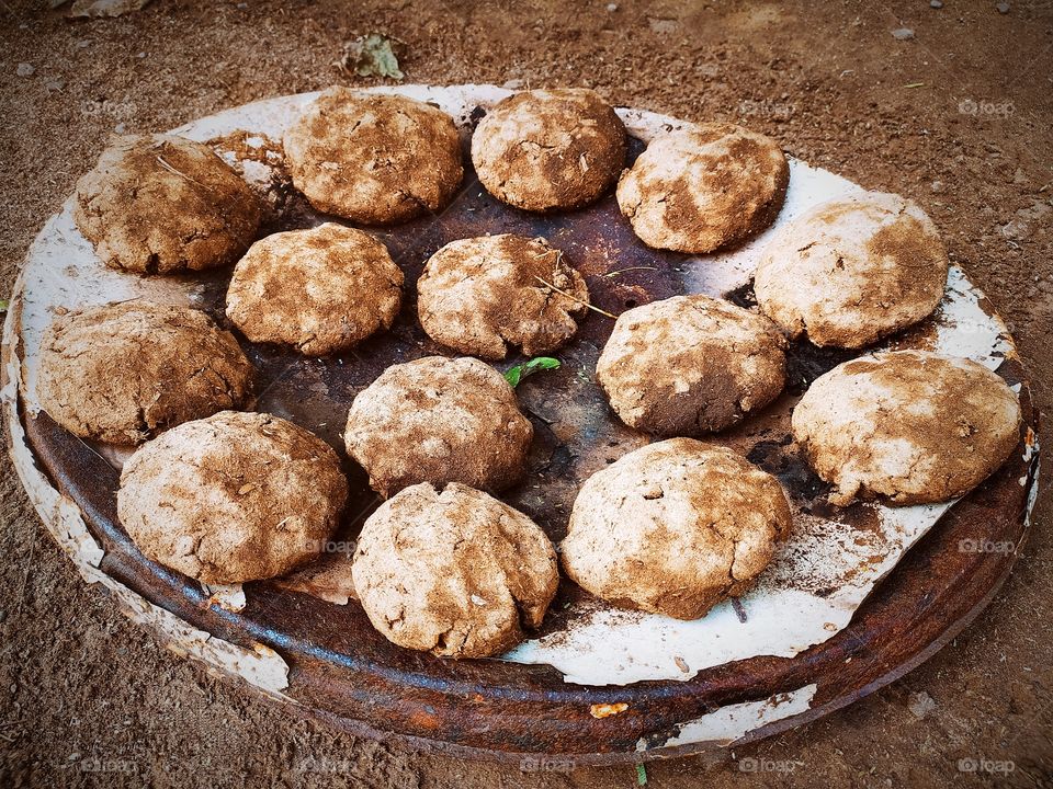 Cow dung cake also called gauri  For God  pooja or hawan
