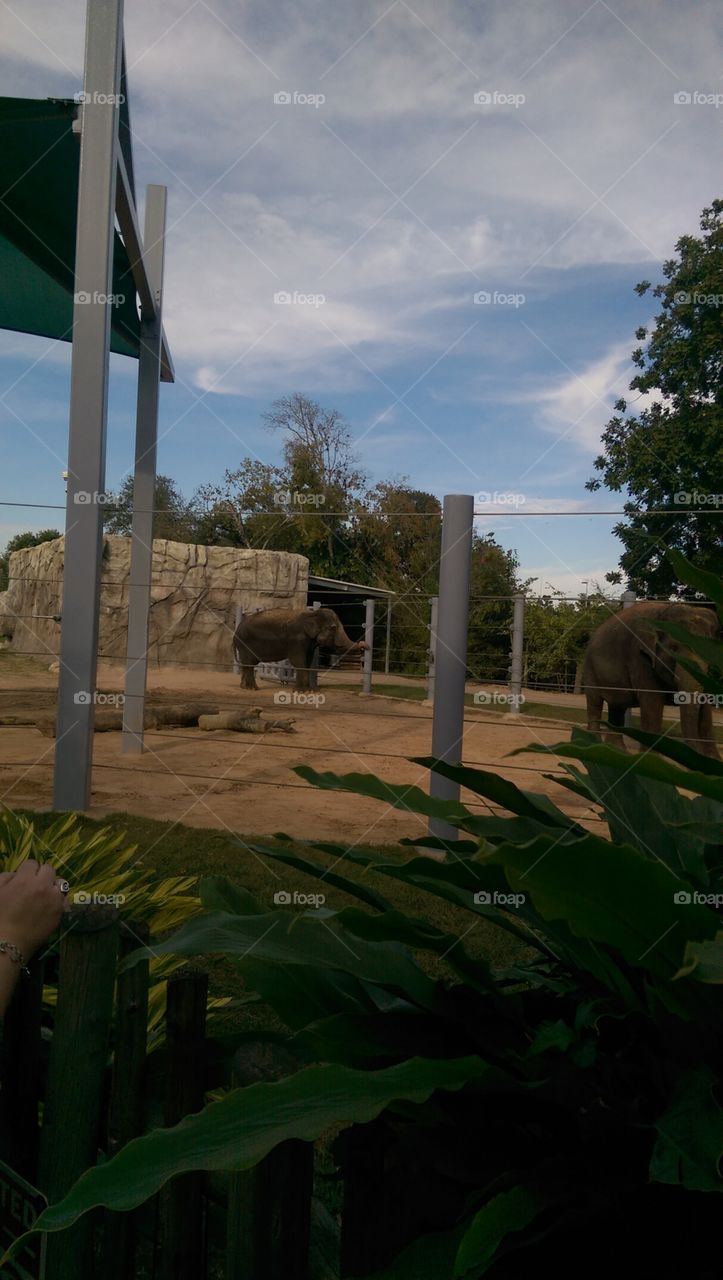 No Person, Outdoors, Tree, Daylight, Travel