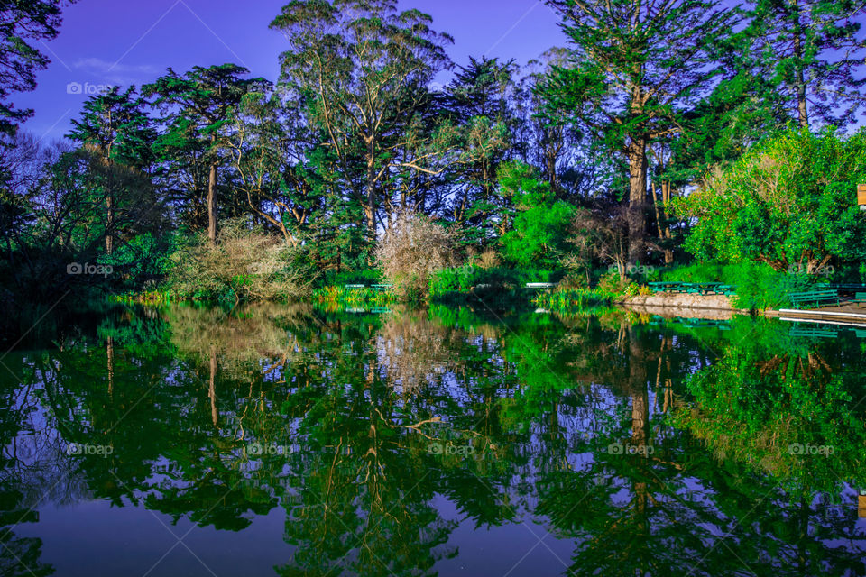 Golden gate park