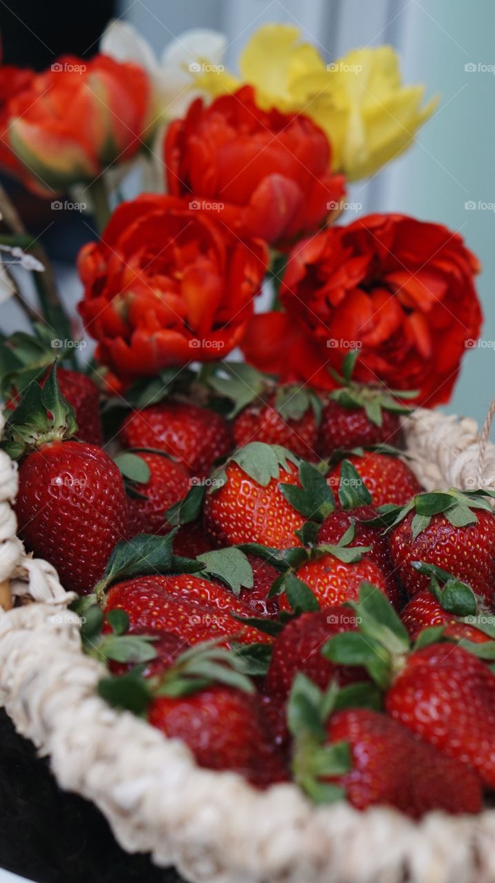 Fruit, Strawberry, Berry, Leaf, Food