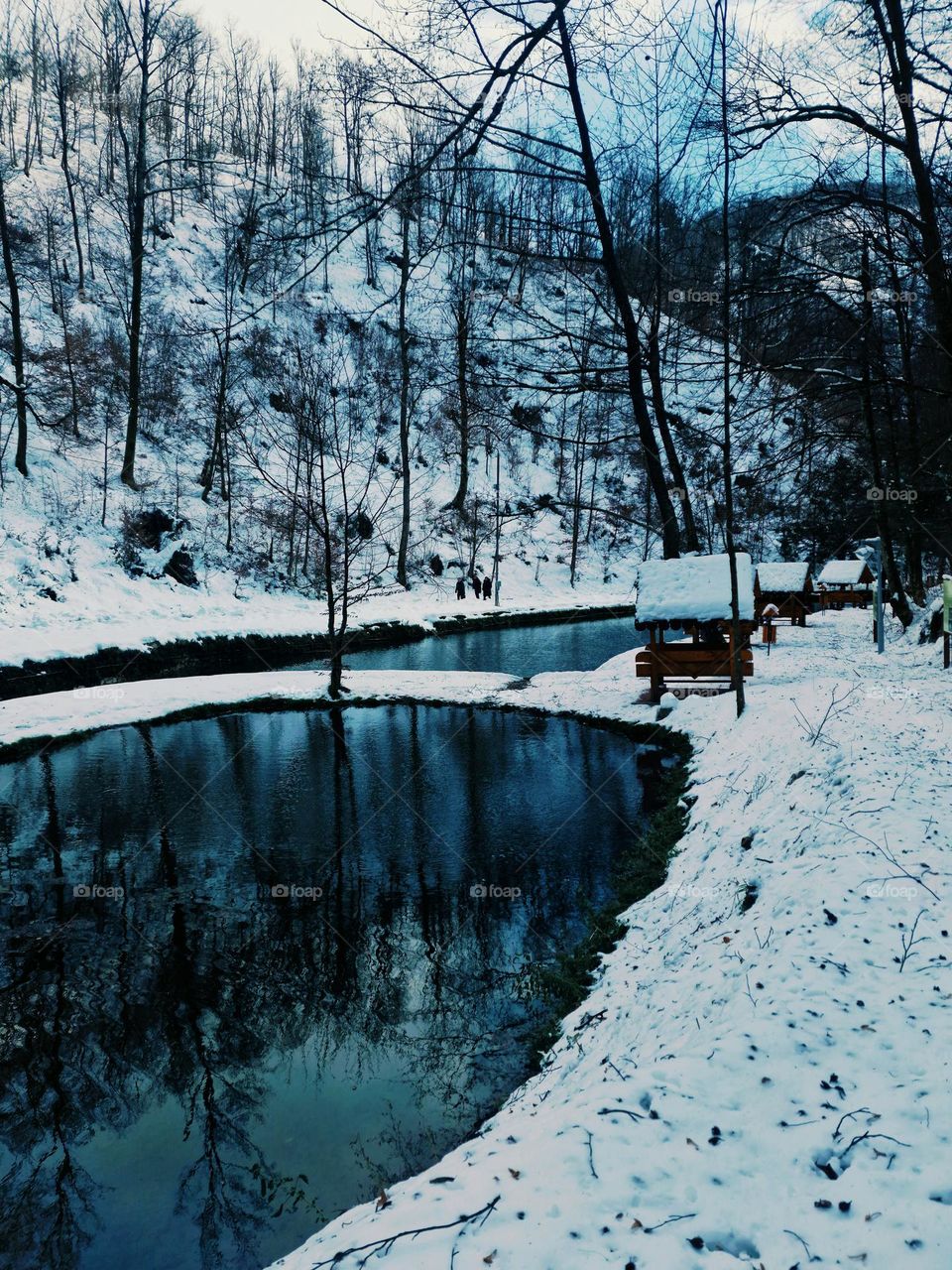 winter landscape