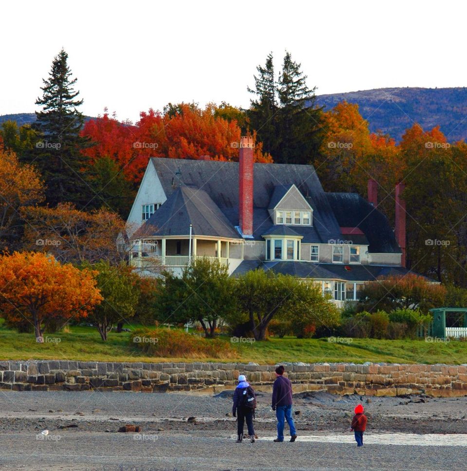 Fall in Maine