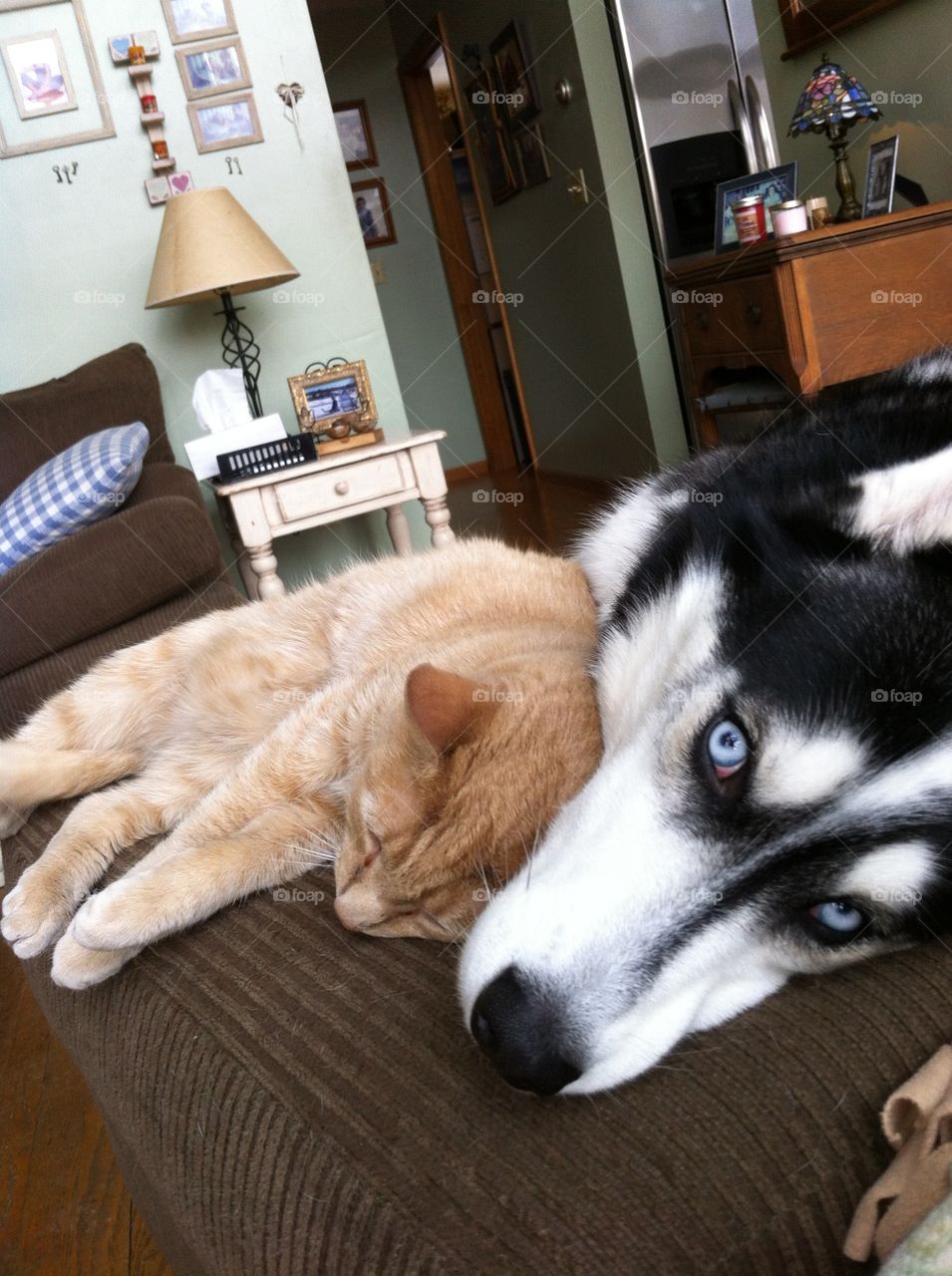 Rocky and jaxx are true friends!
