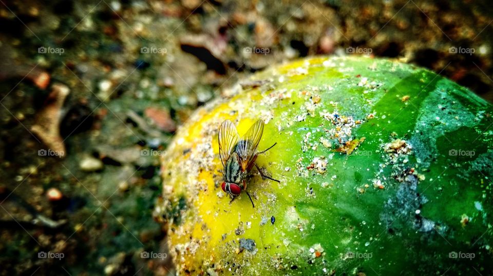 the nature is always say something