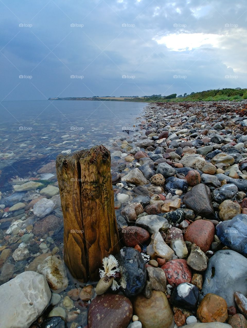 abend Strand holz Treibholz steine stone