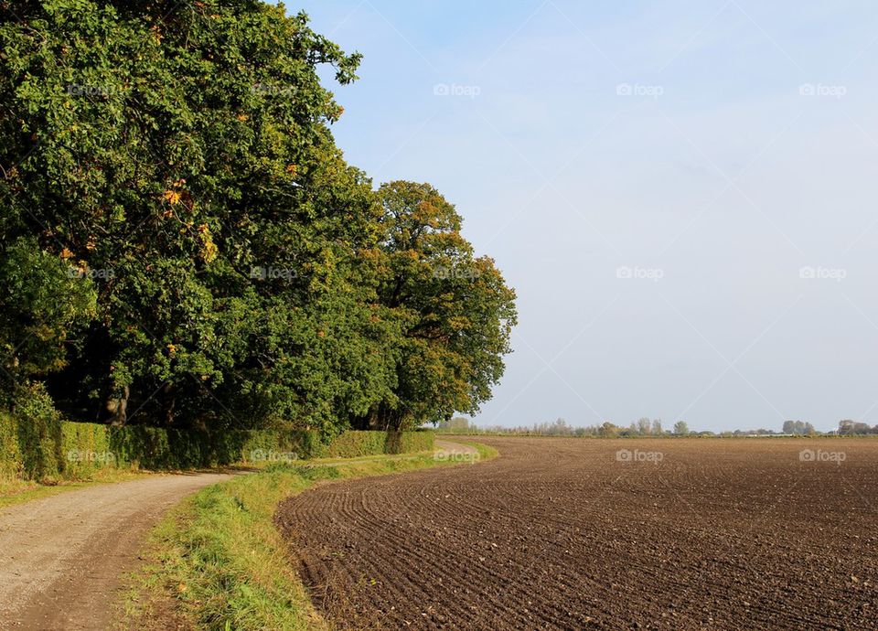 Skåne.