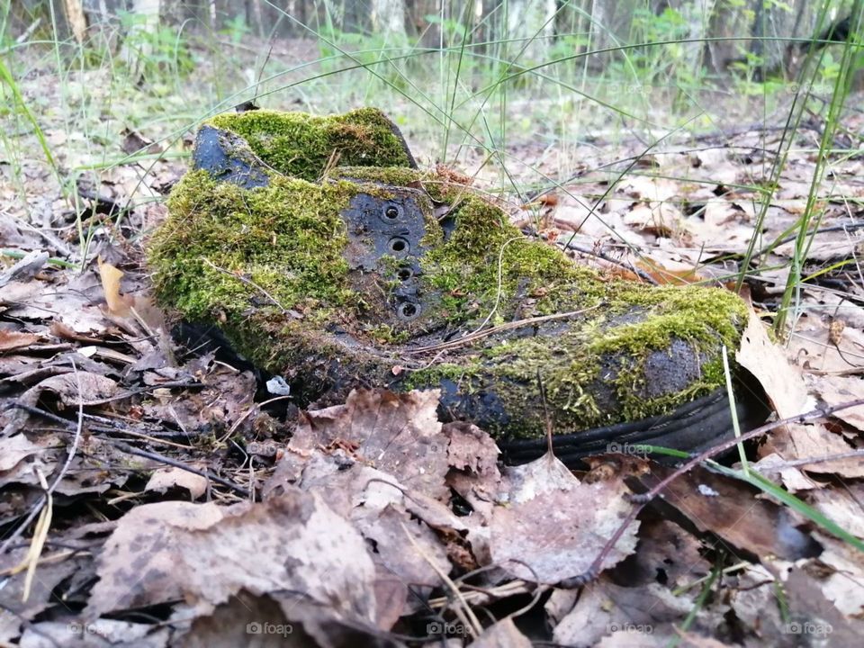 old boot in the forest on yellow dry leaves