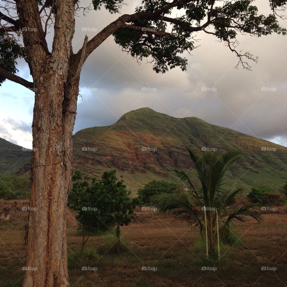 West Oahu