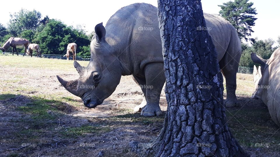 Collecting Memories dhanssen