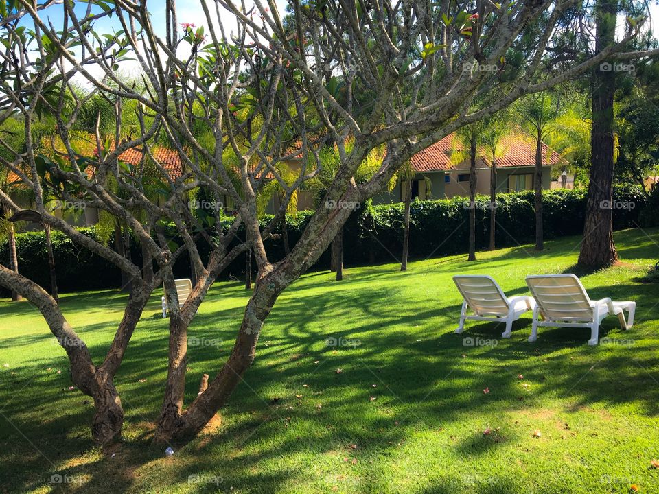 Two deck chair on grassy land