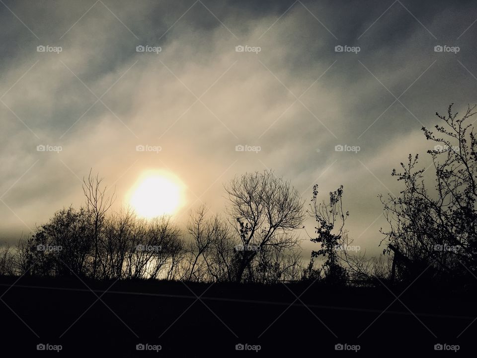 Sunrise over lake with silhouette treescape in Florida 